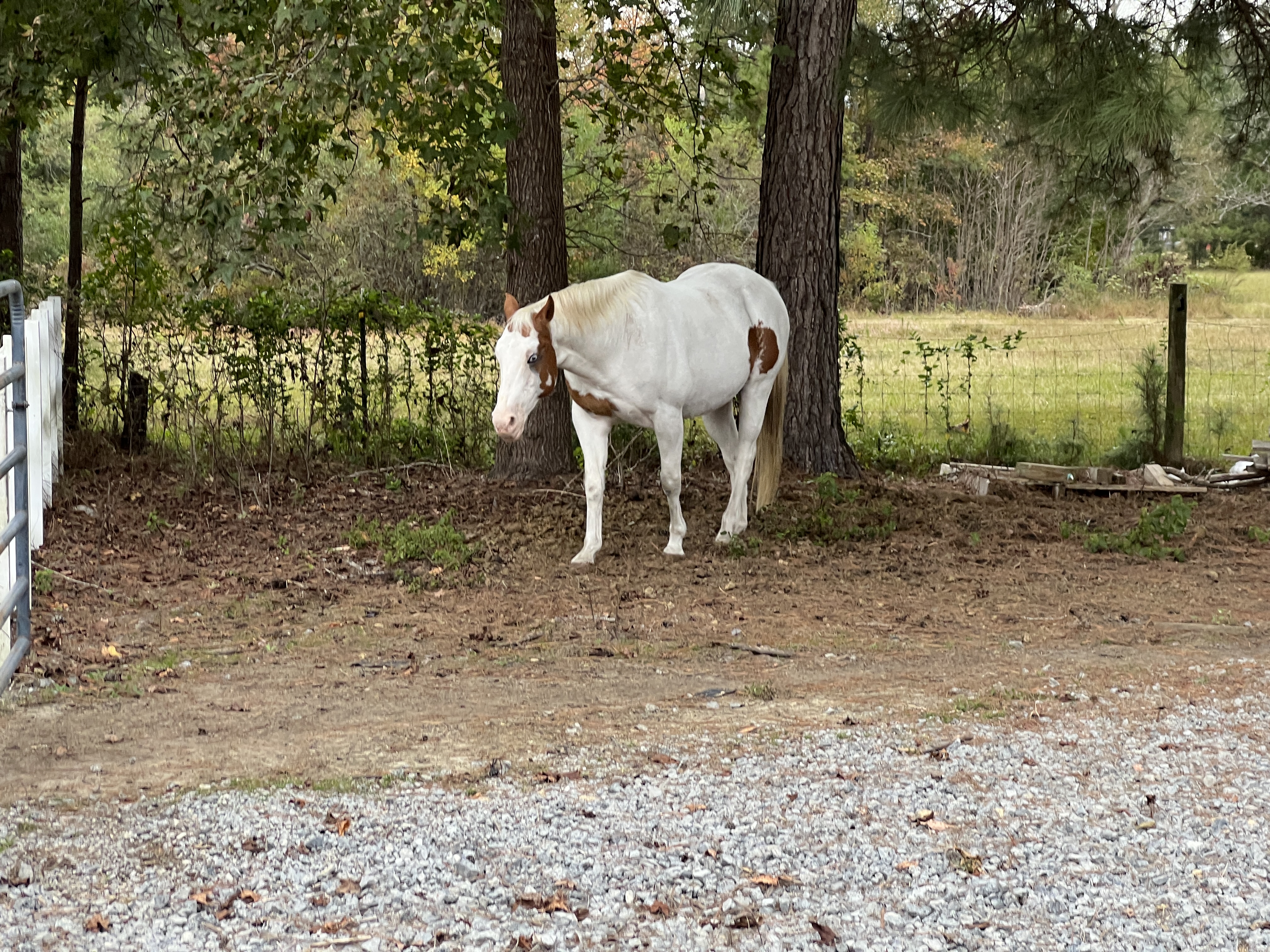 ./2025/12 - Pembroke Pines Wedding/IMG_7585.JPG